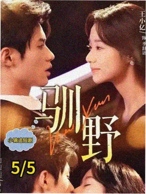 旧城拾光家庭剧集封面